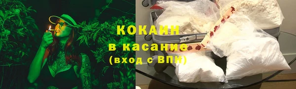 соль ск Богданович