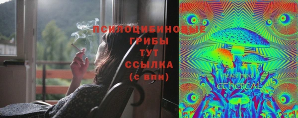 прущая мука Богородск