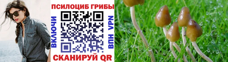 Псилоцибиновые грибы Magic Shrooms  Купить  Лысково 